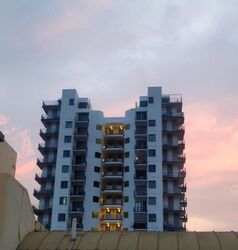 Okio (D12), Retail #452250781